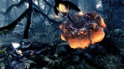 Lost Planet 2