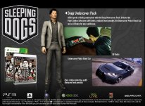 Sleeping Dogs