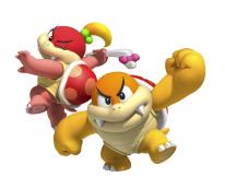 Super Mario 3D Land