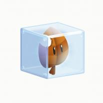 Super Mario 3D Land