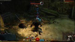 Guild Wars 2