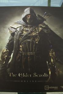 The Elder Scrolls Online