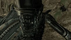 Aliens vs Predator
