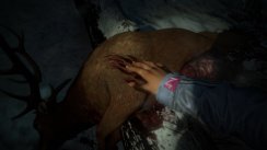 Until Dawn