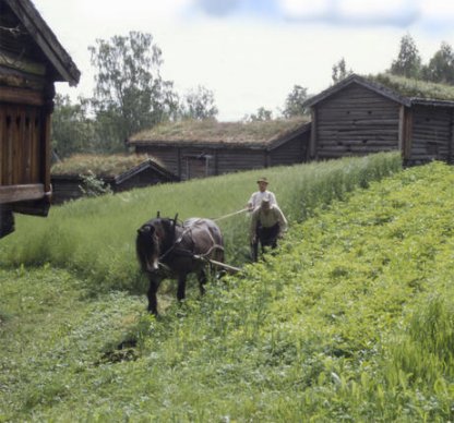 Norske Bønder II