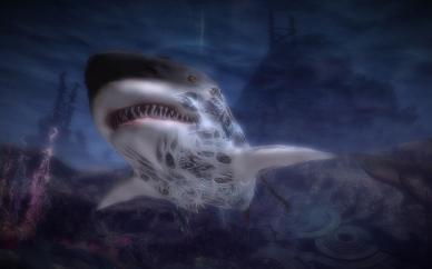 Guild Wars 2
