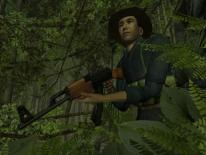 media/01/forstabildenfranvietcong_20149t.jpg