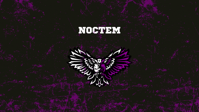 Den britiske organisasjonen Noctem Esports legger ned