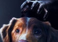 Du vil kunne se Good Boy p&aring; Disney+ innen utgangen av april