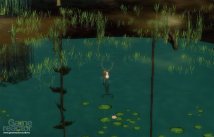 media/02/endlessforest_110297t.jpg