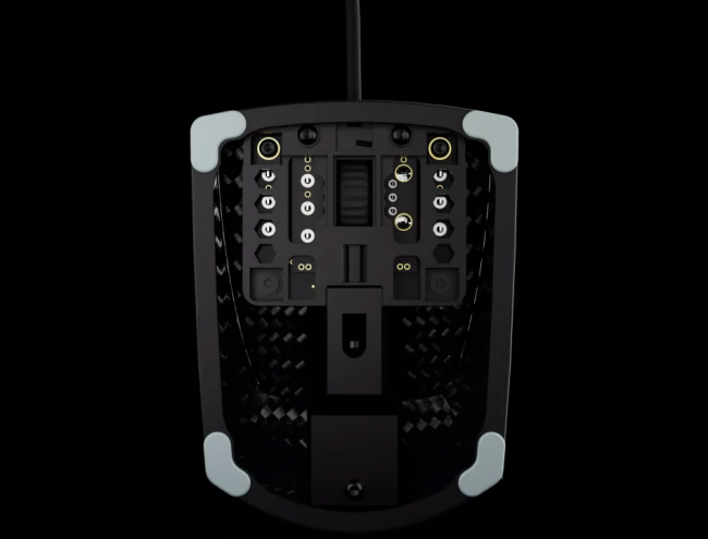 Test: Zaunkoenig M2K
