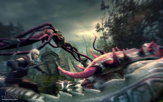 The Witcher
