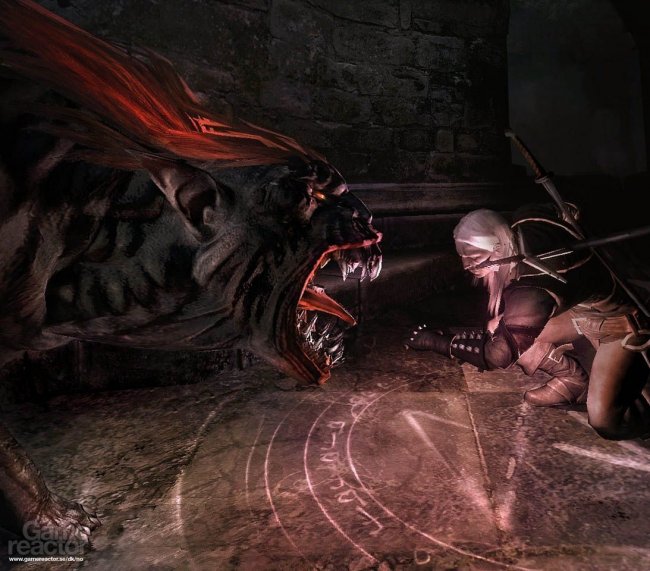 The Witcher