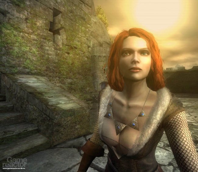 The Witcher