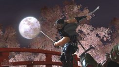 Nye Ninja Gaiden 2-screens
