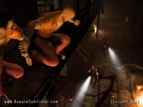 media/06/nyabilderpasplinter_30661t.jpg