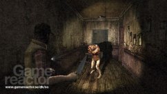 media/09/3frasilent_120975t.jpg