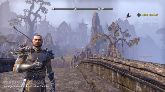 The Elder Scrolls Online
