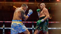 media/11/furyusyk2_4421183t.jpg