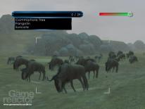 Safari-reise til Wii
