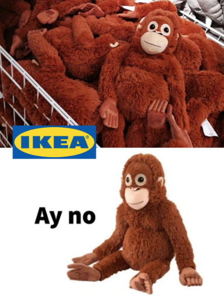 Hvem er apen Punch? Den unge makaken som har blitt nesten mer kjent enn Donald Trump