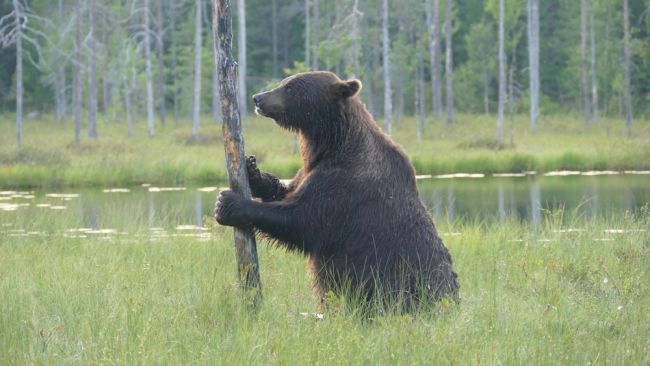 Finland forlenger stengingen av grensen mot Russland på grunn av sikkerhetsproblemer