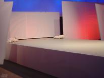 media/13/flerravingrabbids_121356t.jpg