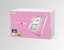 media/14/nintendo2dssnart_1111494t.jpg
