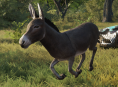 Eselet som var modell for Donkey i Shrek har gått bort
