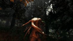 media/15/forestvisesfrem_1101514t.jpg