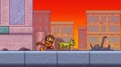 media/15/garfieldhis9lives_81589t.jpg