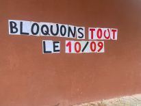 media/19/franceseesfresh_4661943t.jpg