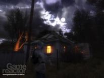 media/19/stalkeribrunefarver_61941t.jpg