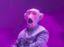 media/20/_4652083t.png