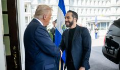 media/21/whitehousedefends_4532193t.jpg
