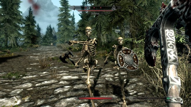 The Elder Scrolls V: Skyrim