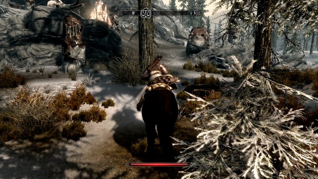 The Elder Scrolls V: Skyrim