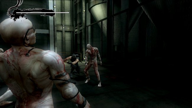 Ninja Gaiden 3