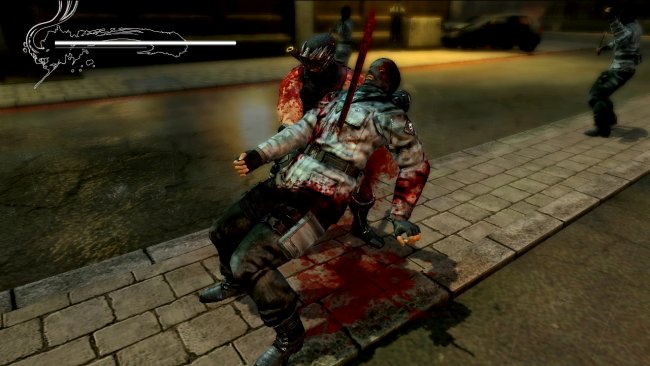 Ninja Gaiden 3