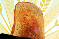 media/29/ambread_1442924t.png