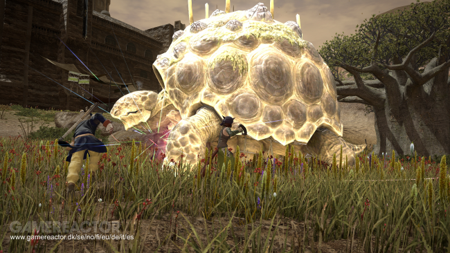 Final Fantasy XIV: A Realm Reborn