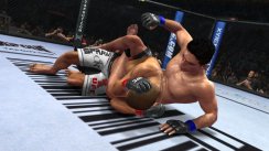 media/29/ufc2010_bilder_202969t.jpg