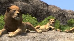 media/31/bildafrika_133145t.jpg