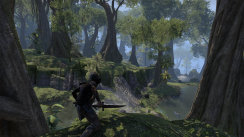 media/31/elderscrollsonline_1123124t.png