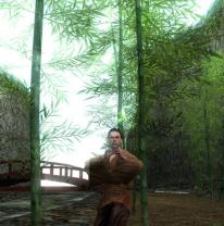 media/31/nyabilderfranmatrix_23174t.jpg