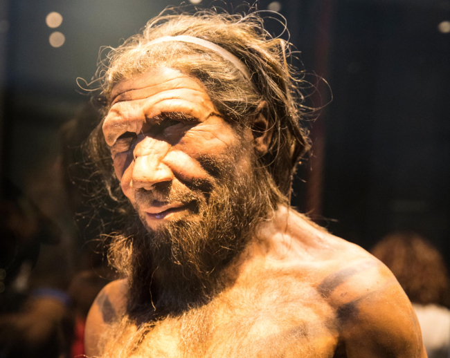 Studie tyder på at mannlige neandertalere oftere paret seg med menneskehunner
