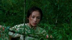 media/33/crouchingtiger_hidden_3943383t.jpg