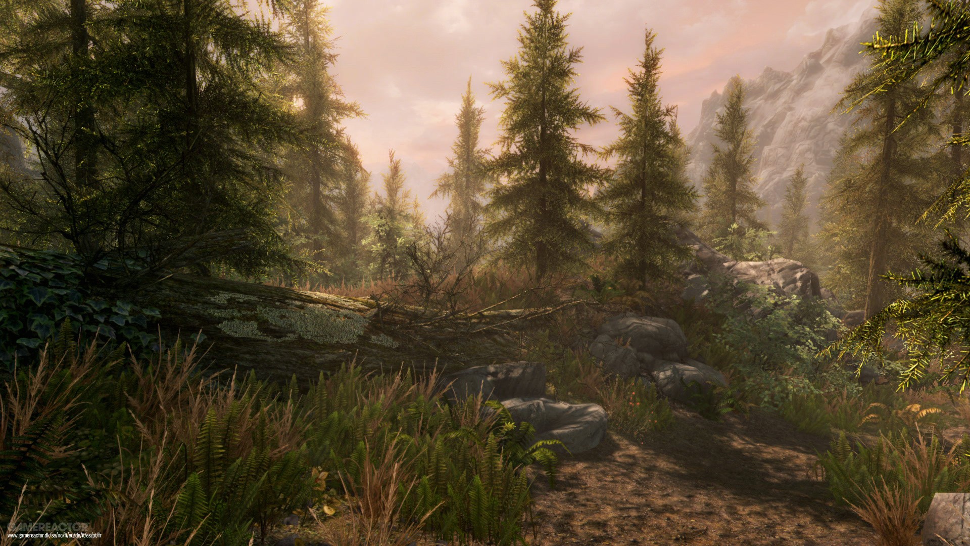 The Elder Scrolls V: Skyrim