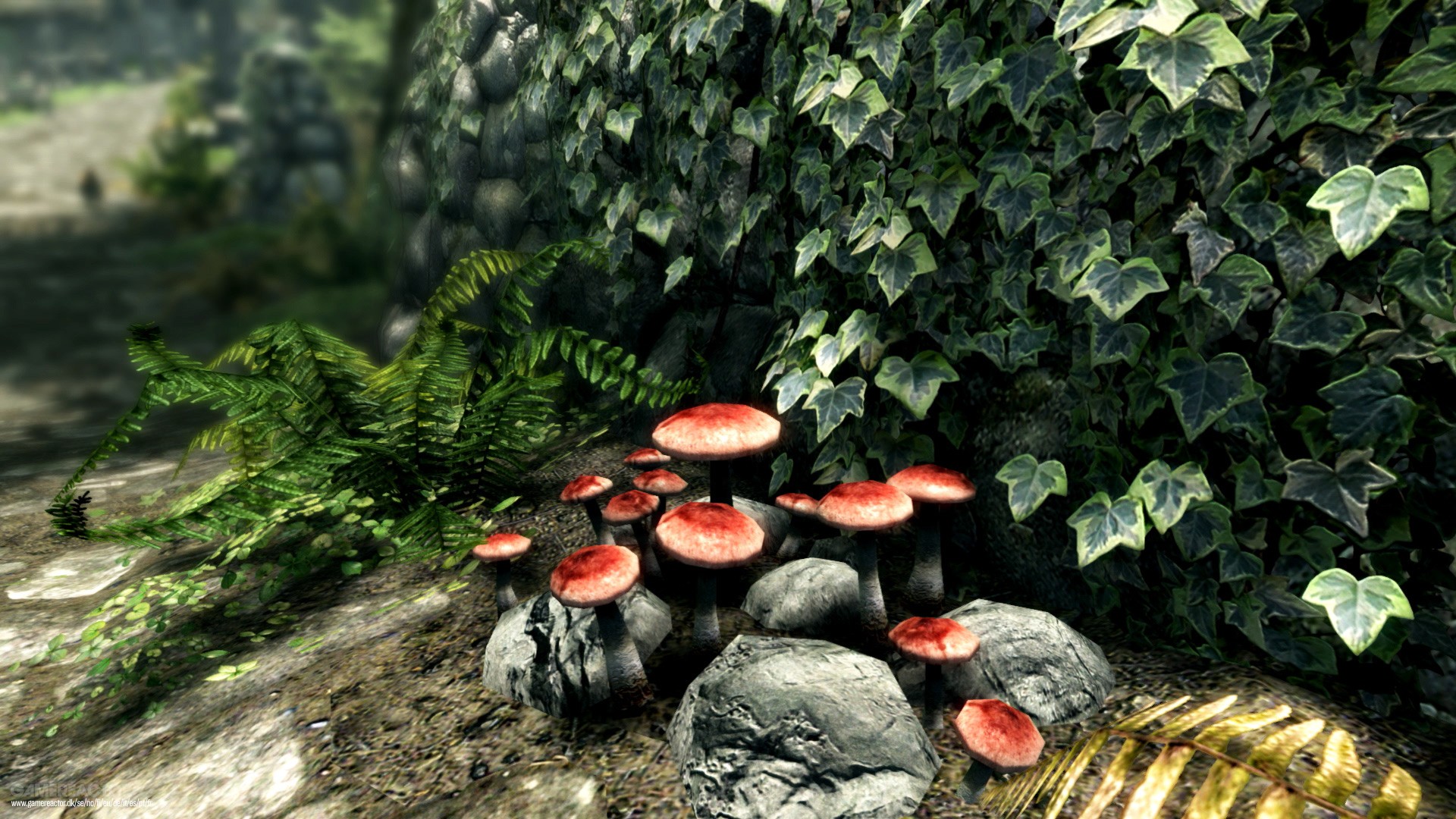 The Elder Scrolls V: Skyrim