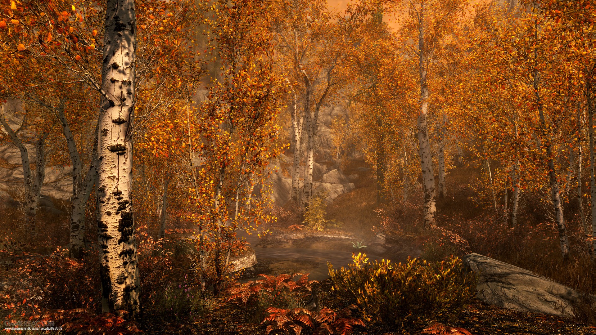 The Elder Scrolls V: Skyrim